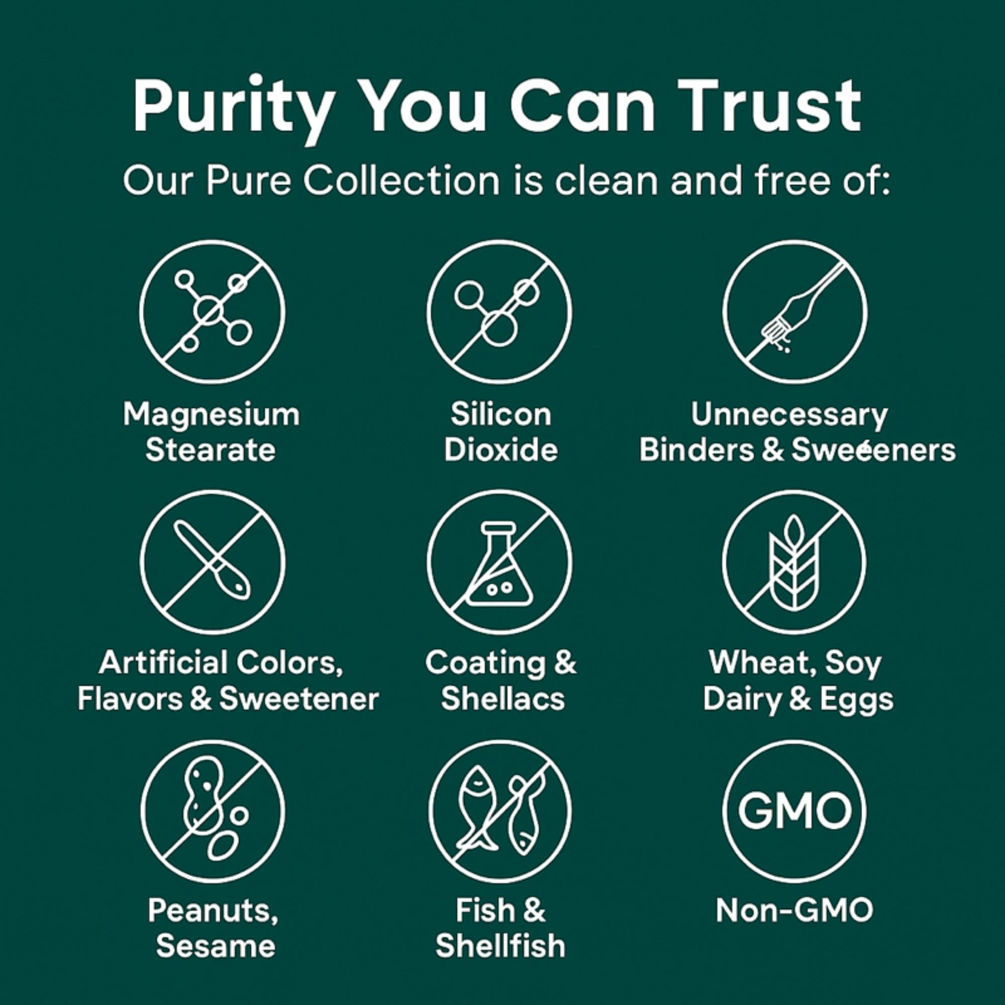 Turmeric Curcumin Capsules (1,000mg)